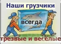 ��������. ����