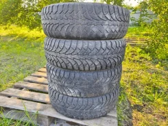 ���� Euro-519