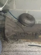 ���� 30-40ls ����
