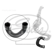 �������� ���������������� Gates 090526 090526 ����
