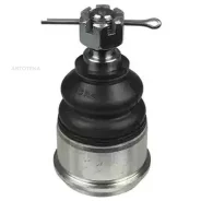����� ������� Delphi TC2629 Delphi TC2629 TC2629 ����