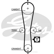 ������ ��� Gates 5454XS Gates 5454XS 5454XS ����