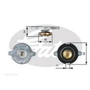 ������ ��������� Gates RC107 Gates RC107 RC107 ����