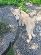 ������. ����