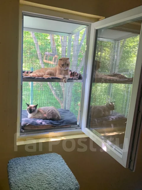 �������, �������� ����������. ��� ����� �� ������������ ����