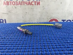 ������-���� Honda Civic 36531PLE003 EU1 D15B 36531PLE003 ����