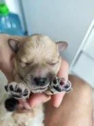 ������. ��� ����� �� ������������ ����