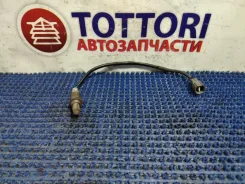 ������-���� Toyota Altezza 2005/09 8946553130 GXE10 1G-FE 8946553130 ����