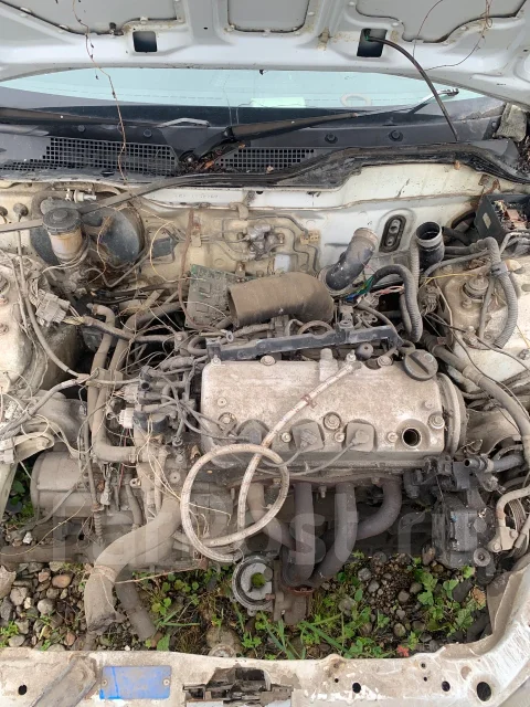 Honda Civic Ferio. EG8, D17A ����