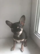 ��������. ����