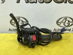 ����� ���� YAMAHA YZF-R01 2013 1KB3 ����