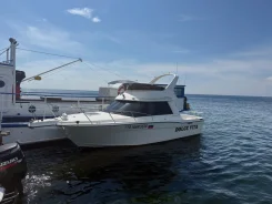 Nissan Suncruise. 2005 ���, ����� 8,5��., ��������� ������������, 260��.�., ������ ����