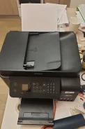 ��� ��������. ����