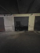 ������ �����������. ����