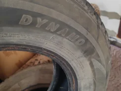 Dynamo Snow-H. ������, ����������, 2023 ���, �/�, ����� 15 % ����