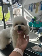 ������. �� ��������. ����� ����������� 46 ����