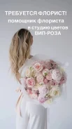 �������� ��������. �� �����. ����� ��������� 4 ����