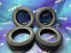 Cordiant Sno-Max