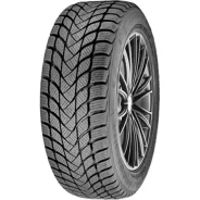 Delinte Winter WD6