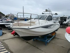 Yamaha YFR-27. 2019 ���, ��������� ���������, 250��.�., ������ ����