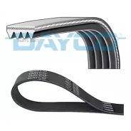 ������ ������������ Dayco 4PK730 4PK730 ����