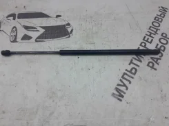 ����������� ������ ��������� Toyota Corolla Verso 689600F011, ����� 689600F011 ����
