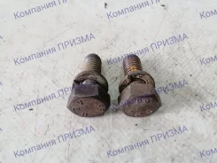�������� ������ Thermo King �� SB 555597 Isuzu 2.2 D. I 555597 ����