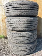 ZMax Zealion. ������, 2024 ���, �/�, ����� 5 % ����
