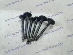 ������ Thermo King ��-500 TS-500 118788 TK 395 118788 ����