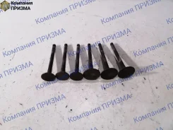 ������ Thermo King ��-500 TS-500 118788 TK 395 118788 ����