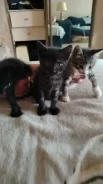 �����. ����