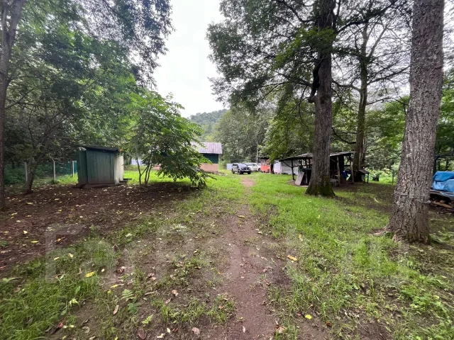 ������. �� ��������. ���������� ���� ������������ ����� ����