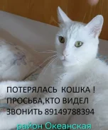 �����. ����