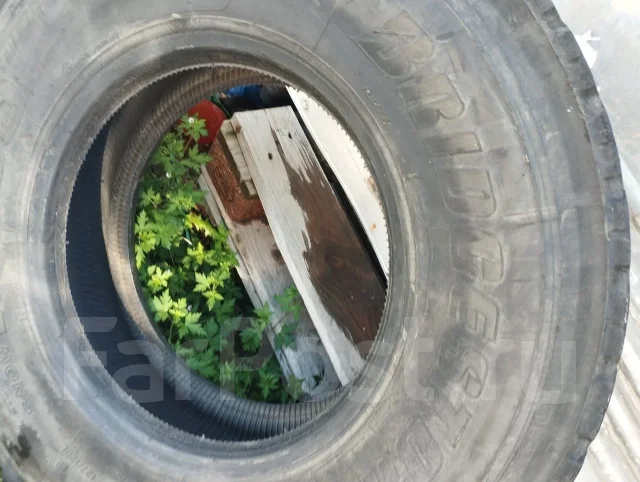Bridgestone. ������, ��� �����, 2022 ���, �/�, ����� 5 % ����