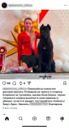 ���� �����. ����