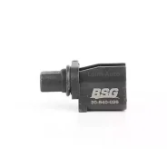������ ��� - ���� BSG30840026 ����