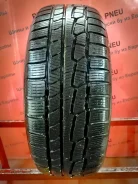 Nokian WR G2 SUV