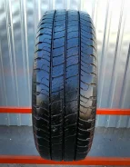 Goodyear Cargo Marathon