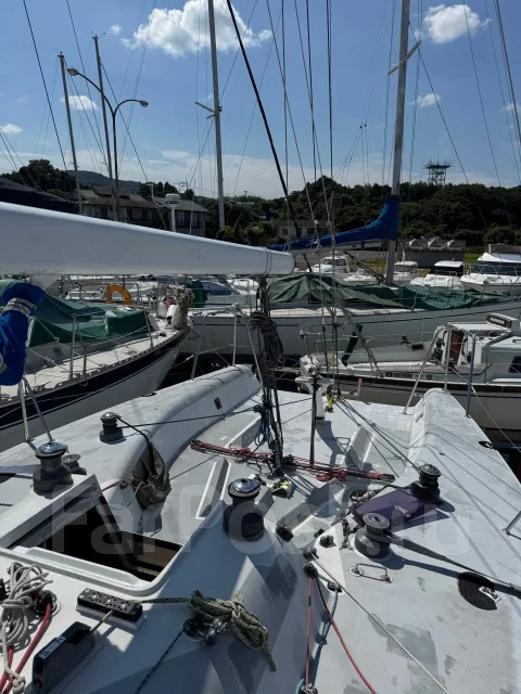 Judel Vrolijk 9.6. ����� 9,6��., 1997 ���. ��� ����� �� ������������ ����