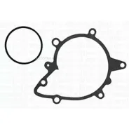 ����� �������� ���������� Metelli 240604 240604 ����