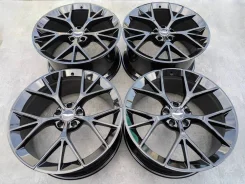 Niche Fortis