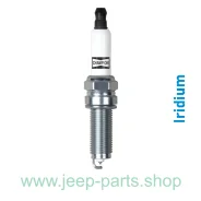 ����� ��������� Champion 9407 Iridium ��� Jeep Wrangler 3.6L Grand Cherokee 3.6L 9407 ����