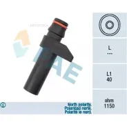 ������ ���� ��������� FAE 79187 FAE 79187 79187 ����