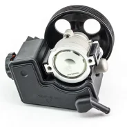 ����� �������������� ����, RE4007. WQ Dominant RE4007WQ Renault RE4007WQ ����