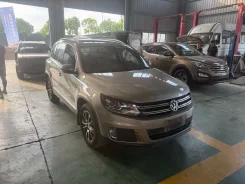 Volkswagen Tiguan. CEA ����