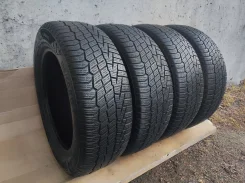 Continental NorthContact NC6. ������, ��� �����, 2019 ���, �/�, ����� 15 % ����