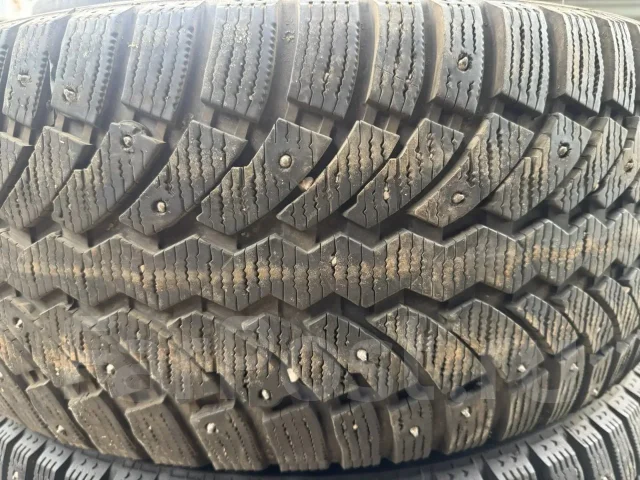 Formula. ������, ��� �����, 2023 ���, �/�, ����� �� 5 % ����