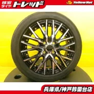 Kyoho Steiner CVX
