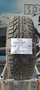 Tigar Winter 1. ������, ��� �����, 2018 ���, �/�, ����� 5 % ����