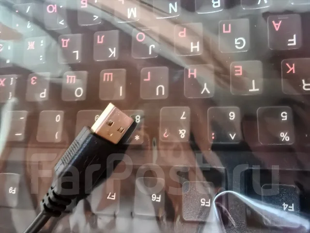 ����������. ����